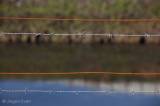 Bottrop-Ebel  Emscher  &raquo; Click to zoom ->